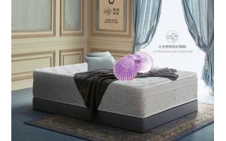 紫贝壳·云舒|记忆棉无簧静音高端定制五星睡眠标准卷压真空包装床垫